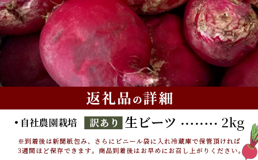 【訳あり】熊本県産 生 ビーツ 2kg スーパーフード 高栄養 びーつ beet 生 あさぎり農園 野菜 根菜 美容 健康 115-0610
