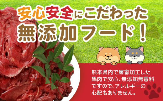 【 定期便12回 】 ペット用 熊本加工 馬肉 切り落とし 【 2kg ×12回配送 】 合計 24キロ ドッグ フード 無添加 無香料 ヘルシー 高栄養 馬刺し 冷凍 お肉専門店 熊本県 国内加工 041-0508