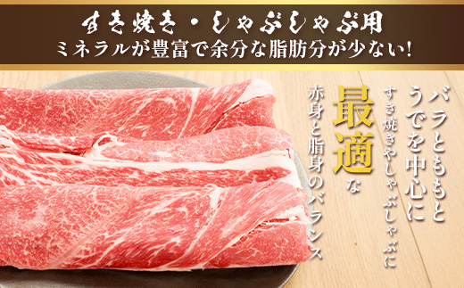くまもとあか牛 詰合せBセット 《 切り落とし500g・すき焼きしゃぶしゃぶ用500g 》 計1kg 熊本県 ブランド牛 肉 ヘルシー 赤身 牛肉