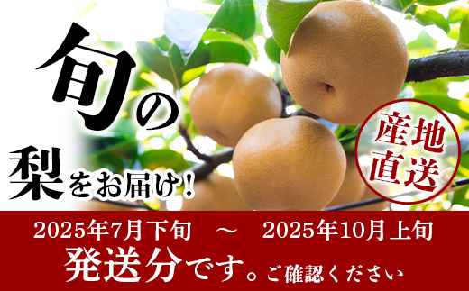 先行予約【2025年7月下旬〜発送分】東光寺 梨 2.5kg (5〜7玉) 1箱 完熟 梨 なし フルーツ 果物 夏 旬 幸水 豊水 秋月 新高 新興 シャリシャリ 025-0573