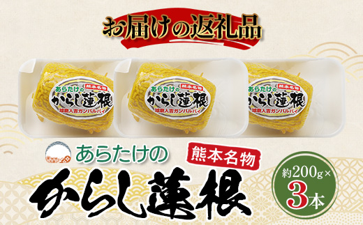 【熊本名物】あらたけの からし蓮根 3本セット (約200g×3本) 辛子 レンコン れんこん 熊本県 特産 名産品 ピリ辛 滋養 多良木町 老舗 あらたけ蒲鉾店 102-0504
