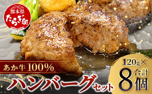 熊本県産 あか牛 100％ ハンバーグ 120g×8個 (計960g)  牛肉 ハンバーグ あか牛 肉 熊本産 国産牛 和牛 うま味 はんばーぐ 熊本県 ギフト 母の日 父の日 お中元 046-0752