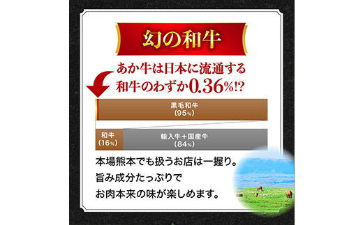 熊本県産 和牛 馬肉 しゃぶしゃぶ 食べ比べ セット 計900g 【 黒毛和牛 和牛 あか牛 赤牛 しゃぶしゃぶ用 高級 】 058-0685