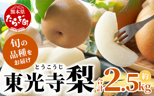 先行予約【2025年7月下旬〜発送分】東光寺 梨 2.5kg (5〜7玉) 1箱 完熟 梨 なし フルーツ 果物 夏 旬 幸水 豊水 秋月 新高 新興 シャリシャリ 025-0573