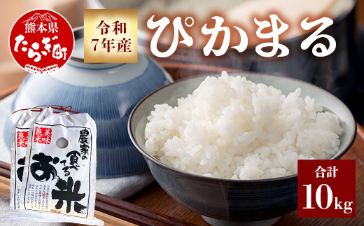 令和7年産 新米 先行予約 多良木町産 ぴかまる 10kg (5kg×2袋) 令和7年10月下旬より順次発送 新米 農家が食べる お米 米 白米 精米 甘みのある お米 有機 お米 065-0641