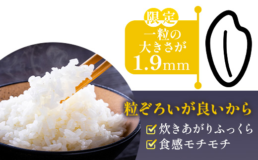 【レンチンご飯】 こめたらぎ レンジアップ ごはん150g×6パック 【 有機 米 ご飯 グランプリ受賞 にこまる 手軽 常備食 非常食 ギフト 贈り物 名産地 米どころ 多良木町 】  044-0600