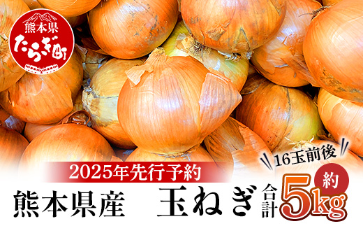 【先行予約】熊本県産 玉ねぎ 5kg (16玉前後) ≪2025年4月下旬から順次発送≫ 玉葱 野菜 数量限定 JAS たまねぎ オニオン 甘い ハンバーグ 肉じゃが 065-0636