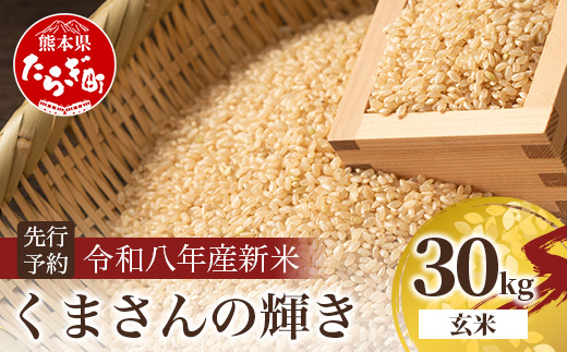 令和8年産新米【玄米 30kg】 くまさんの輝き 30kg (令和8年10月中旬より順次発送) 新米 熊本県 多良木町 お米 10 キロ 米 玄米 107-0703