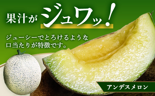 【2025年4月中旬発送開始】熊本県産 アンデスメロン 2玉 計約約2.5kg以上 【 アンデス メロン フルーツ 果物 くだもの 熊本県 多良木町 】 083-0697