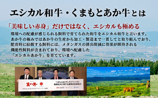 【 定期便6回 】【 エシカル和牛 】 あか牛の極み 食べ比べ定期便 【 合計6kg 】 ステーキハンバーグ 焼肉 食べ比べ 焼肉 しゃぶしゃぶ すき焼き 熊本 あか牛 牛肉 赤身 和牛 国産 033-0509