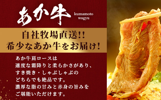 熊本和牛 あか牛 肩ロース すき焼き・しゃぶしゃぶ用 500g あか牛のタレ付き【 牛肉 肉 お肉 ロース スライス すき焼き しゃぶしゃぶ 】 046-0789