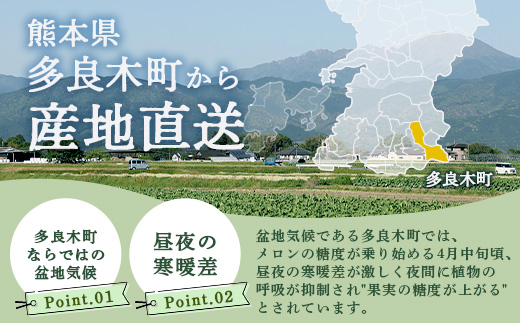 【 2025年4月中旬～発送開始 】 先行予約 グラバーメロン 3玉 【 熊本県 多良木町産 上品な味 高糖度 甘い メロン ぐらばー めろん 熊本メロン 】013-0557