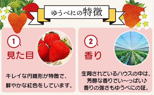 熊本県産いちご ゆうべに 約260g×4パック2026年1月～発送  産地直送 国産 新鮮 フレッシュ 果物 苺 イチゴ 103-0002