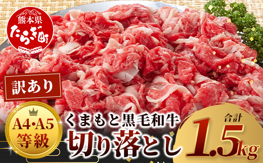 ★訳あり★【A4〜 A5等級】くまもと黒毛和牛 切り落とし 1.5kg (500ｇ×3P） ≪ ブランド 牛肉 肉 わけあり 和牛 国産 熊本県 上級 上質 ≫