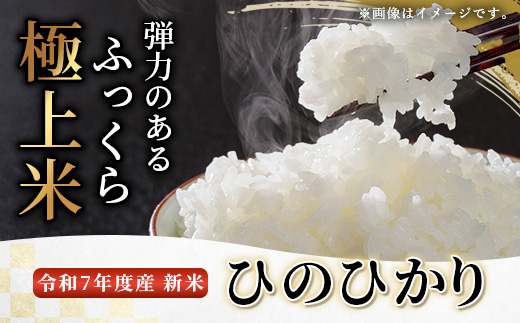 【令和7年度産 新米】球磨産 ひのひかり 精米 5kg お米 ヒノヒカリ 新米 お米 白米 036-0180