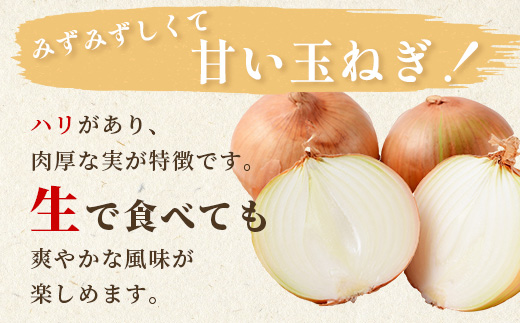 【先行予約】熊本県産 玉ねぎ 5kg (16玉前後) ≪2025年4月下旬から順次発送≫ 玉葱 野菜 数量限定 JAS たまねぎ オニオン 甘い ハンバーグ 肉じゃが 065-0636