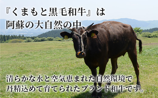 【A4～ A5等級】くまもと黒毛和牛モモステーキ 約500g ( 100ｇ×5P ) ≪ ブランド 牛肉 肉 赤身 モモ ステーキ 500g 大容量 小分け ご馳走 和牛 国産 熊本県 上級 上質 ≫