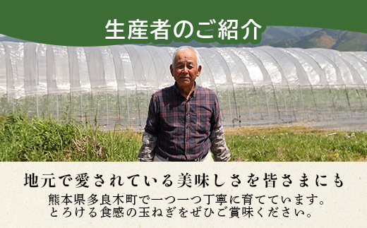 【先行予約】熊本県産 玉ねぎ 10kg (33玉前後) ≪2025年4月下旬から順次発送≫ 玉葱 野菜 数量限定 JAS たまねぎ オニオン 甘い ハンバーグ 肉じゃが 065-0637