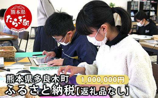 熊本県多良木町への寄附（返礼品はありません）【 ふるさと納税 熊本県 多良木町 応援 寄附 】028-0344-1000