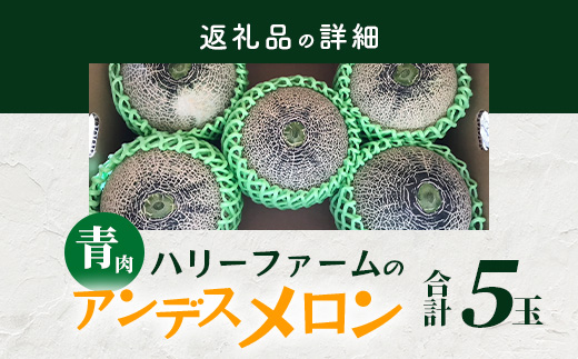 【2025年5月上旬～発送 先行予約】アンデスメロン 青肉 5玉 (合計 約4.5～5kg) 熊本県 多良木町産 果物 フルーツ メロン 先行予約 5個 青肉 ミツバチ交配 期間限定 数量限定 109-0501