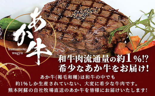 熊本和牛 あか牛 ヒレステーキ 360g (120g×3) あか牛のタレ付き 【 牛肉 肉 お肉 ヒレ ステーキ 赤身 ブランド牛 希少 ヘルシー 焼肉 熊本県産 】 046-0787