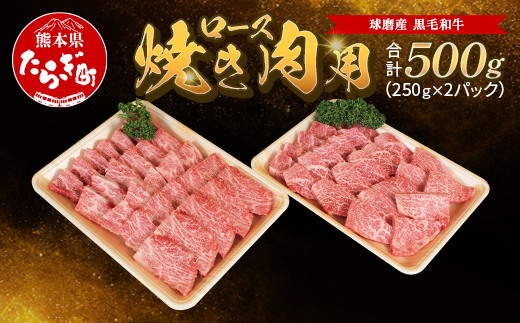 球磨産 黒毛和牛 ロース焼き肉用 500g（250g×2パック）スライス【 牛肉 ロース 和牛 国産 軟らかい 旨味たっぷり 焼き肉 JA 】011-0065