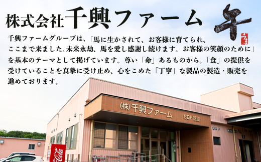 6種 馬肉 バラエティ 約540g 食べ比べ 冷凍 馬刺し 熊本 国産 馬肉ハンバーグ 刺身 生食 新鮮 ユッケ さばきたて SQF 安全 高品質 ハンバーグ 詰め合わせ 赤身 熊本 国産 小分け 031-0437