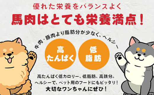 【 定期便3回 】ペット用 熊本加工 手作り 馬肉 ジャーキー 【 100g ×3回 】 ドッグ フード ペット おやつ 食事 無添加 無香料 ヘルシー 高栄養 馬肉 ペット お肉専門店 熊本県 馬肉 国内加工 041-0510