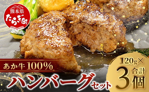 あか牛 100％ハンバーグ セット 120g×3個 ハンバーグ あか牛 牛肉 肉 熊本産 国産牛 和牛 旨味 うま味 ぎっしり 熊本県 多良木町 ハンバーグ 046-0750