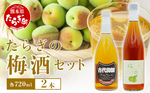 たらぎの 梅酒 セット 720ml × 2本 ≪古代梅酒≫≪ 梅酒文蔵≫ 球磨焼酎 多良木町 米 焼酎 梅 うめ酒 お酒 球磨 贈り物 ギフト 熊本県 多良木町 015-0689