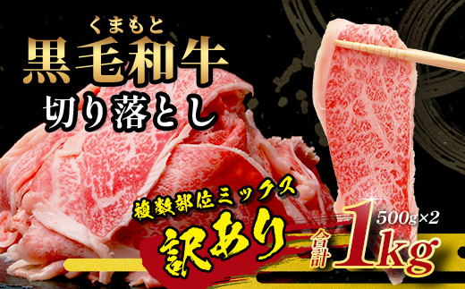 【訳あり】くまもと黒毛和牛 切り落とし 【1kg】 本場 熊本県 黒毛 和牛 ブランド 牛 肉 1キロ 大容量 上質 くまもと 訳アリ 小分け 冷凍 すき焼き しゃぶしゃぶ 113-0551