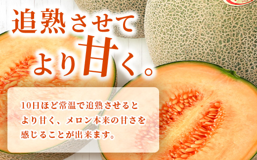 【 2025年4月下旬 発送開始 】 先行予約 オレンジの果肉メロン「 レノンハート 」 2玉 (合計約2.8kg以上)【 令和7年 予約 先行 先行予約 高糖度 めろん なめらかな果肉 果物 贈り物に 】 013-0559