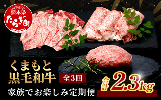 【定期便3回】くまもと黒毛和牛 家族でお楽しみ定期便 《 ロース すき焼き 焼肉 ハンバーグ10個 》【合計2.3kg】ブランド牛 国産 牛肉 冷凍 熊本県 113-0522