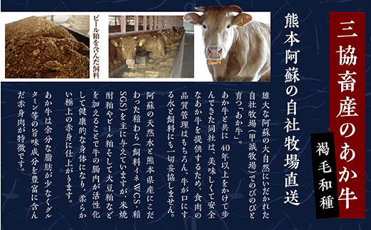 あか牛 100％ ハンバーグ 120g×6個 あか牛のたれ200ml セット 【 ハンバーグ あか牛 牛肉 肉 熊本産 国産牛 和牛 旨味 うま味 ぎっしり 熊本県 多良木町 牛肉 タレ付 】046-0455