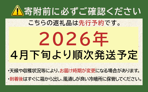 【先行予約】熊本県産 玉ねぎ 5kg (16玉前後) ≪2025年4月下旬から順次発送≫ 玉葱 野菜 数量限定 JAS たまねぎ オニオン 甘い ハンバーグ 肉じゃが 065-0636