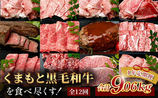 【定期便12回】くまもと 黒毛和牛 を味わい尽くす！1年12回配送 定期便 【合計 9.06kg】本場 熊本 黒毛 和牛 ブランド 牛 肉 すき焼き 焼肉 しゃぶしゃぶ ハンバーグ ステーキ ローストビーフ 上質 熊本 113-0550