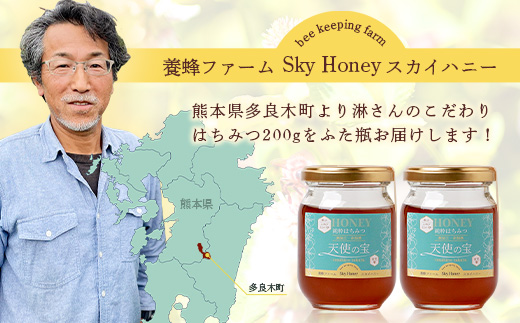 日本みつばち 蜂蜜「天使の宝」2個 セット 【 希少 ニホンミツバチ 100％ はちみつ 高純度 高濃度 垂れ蜜 ハチミツ ジャム 無添加 】094-0003