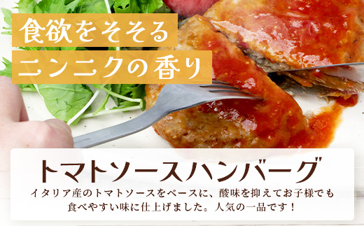 温めるだけ！ レンチン ハンバーグ ≪トマトソース≫ 10個 ※2025年1月以降発送分※ ハンバーグ 湯煎 レンジ 簡単 大容量 レトルト ハンバーグ 温めるだけ 簡単 冷凍 レンジ 湯せん 個包装 067-0701