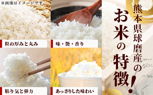 【令和7年度産 新米】球磨産 ひのひかり 精米 5kg お米 ヒノヒカリ 新米 お米 白米 036-0180
