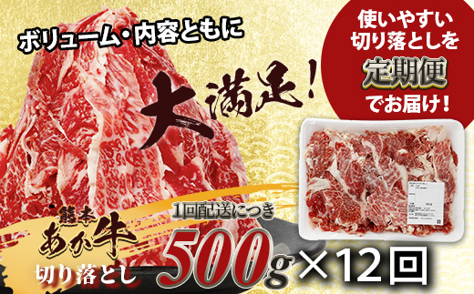 【定期便12回】熊本あか牛 切り落とし 500g×12回 【 合計 6kg 】 国産 ブランド牛 肉 冷凍 熊本 熊本県産 あか牛 赤牛 切り落とし 定期 12回お届け 041-0165