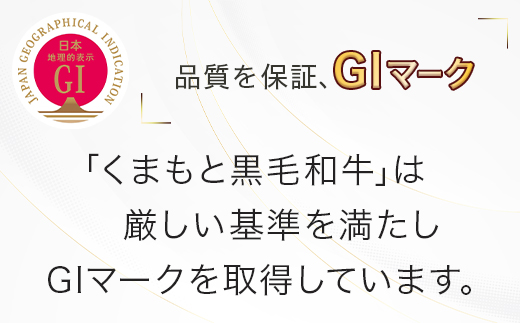 【G1認証】くまもと黒毛和牛 サーロイン ステーキ 3枚 (合計約540g) ブランド牛 ステーキ 熊本県産 熊本 霜降り 肉 高級 黒毛和牛 和牛 100-0001