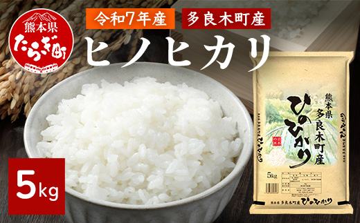 令和7年産 多良木町産 ヒノヒカリ 5kg  【 精米 お米 米 こめ ひのひかり ヒノヒカリ 白米 】 053-0508