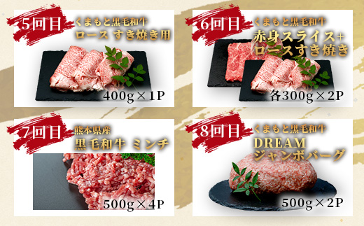 【定期便12回】くまもと 黒毛和牛 を味わい尽くす！1年12回配送 定期便 【合計 9.06kg】本場 熊本 黒毛 和牛 ブランド 牛 肉 すき焼き 焼肉 しゃぶしゃぶ ハンバーグ ステーキ ローストビーフ 上質 熊本 113-0550