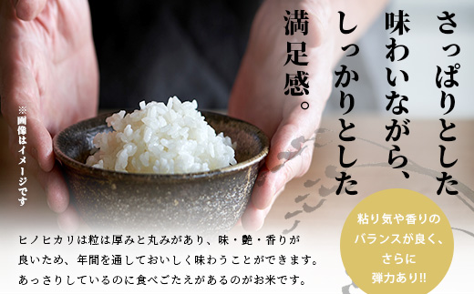 【令和7年度産 新米】球磨産 ひのひかり 精米 5kg お米 ヒノヒカリ 新米 お米 白米 036-0180