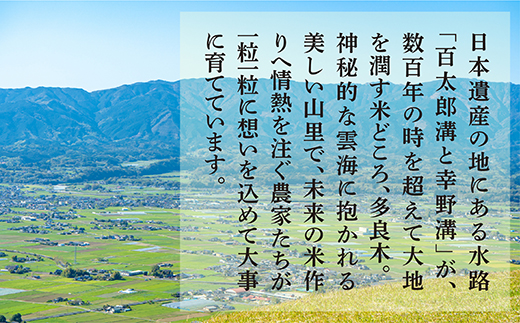 【おいしい米 定期便 毎月発送 全6回】 ＜ R5年産 新米 先行予約 ＞ 多良木町産 こめたらぎ にこまる 10kg × 6ヶ月 合計60kg 【 白米 精米 熊本県 多良木町 自然 豊か グランプリ 農家 多良木のびる 】 044-0584-a