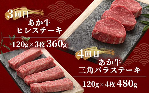 【定期便6回】あか牛希少6種のステーキ 定期便 < サーロイン600g・ランプ450g・ヒレ360g・三角バラ480g・トモサンカク480g・ミスジ480g > 【 牛肉 お肉 ステーキ あか牛 定期便 贅沢 熊本県 】046-0805