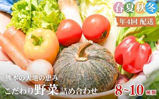【年4回定期便】春夏秋冬 熊本の大地の恵み こだわり野菜詰め合わせ 8～10種類 定期便 野菜 獲れたて 直送 旬 熊本県 多良木町 ソムリエ 厳選 おまかせ おすすめ セレクト お試し 024-0818