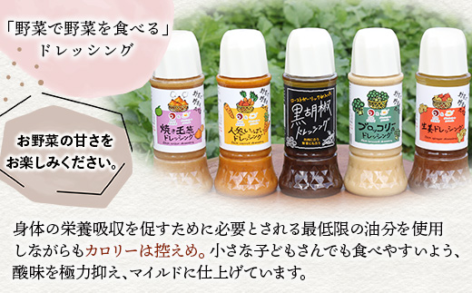 野菜で野菜を食べる ドレッシング 2本 Cセット ＜ 焼き玉葱 / 生姜 ＞計600ml サラダ や 肉料理 にも 詰め合わせ 熊本県 多良木町 調味料 024-0683