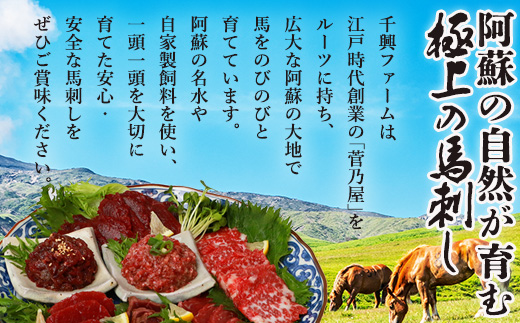 6種 馬肉 バラエティ 約540g 食べ比べ 冷凍 馬刺し 熊本 国産 馬肉ハンバーグ 刺身 生食 新鮮 ユッケ さばきたて SQF 安全 高品質 ハンバーグ 詰め合わせ 赤身 熊本 国産 小分け 031-0437