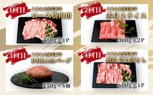 【定期便12回】くまもと 黒毛和牛 を味わい尽くす！1年12回配送 定期便 【合計 9.06kg】本場 熊本 黒毛 和牛 ブランド 牛 肉 すき焼き 焼肉 しゃぶしゃぶ ハンバーグ ステーキ ローストビーフ 上質 熊本 113-0550